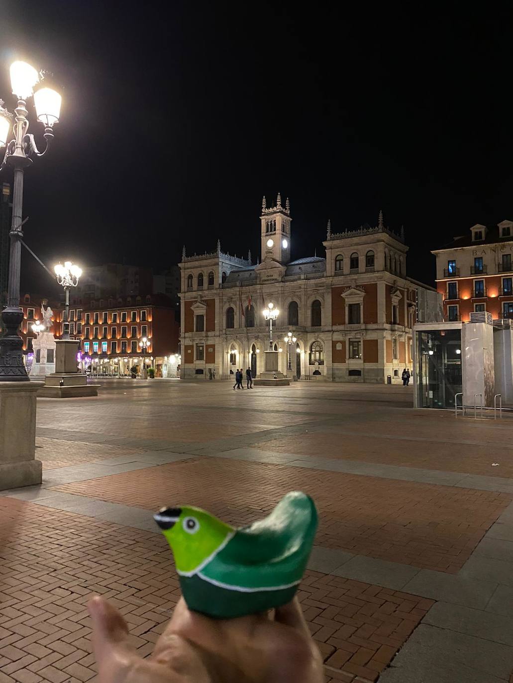 Fotos: Una bandada de reinvidicativos pájaros verdes se posa en las calles de Valladolid