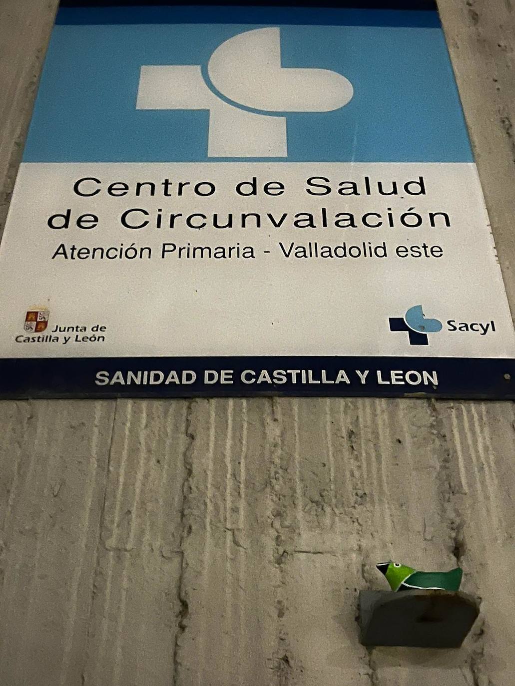 Fotos: Una bandada de reinvidicativos pájaros verdes se posa en las calles de Valladolid