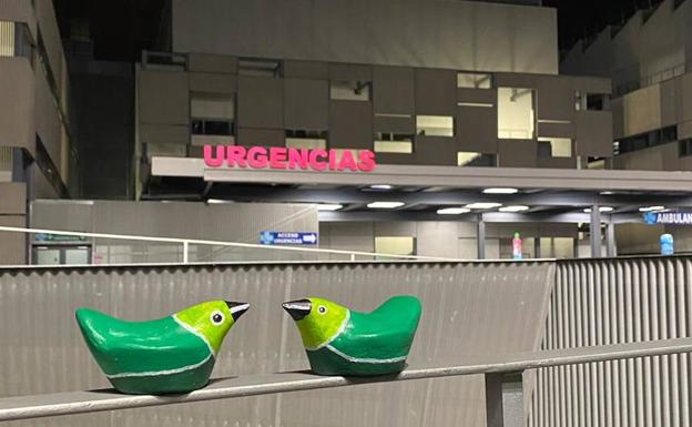 'Pájaros verdes' frente a una barandilla a la entrada de Urgencias en el Hospital Clínico.