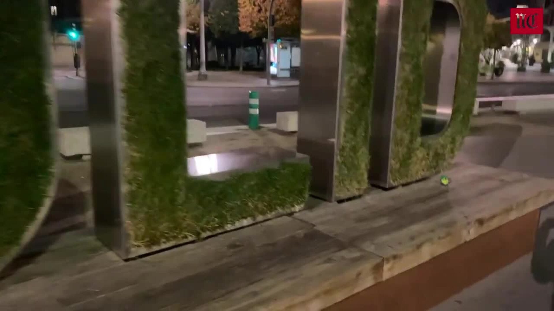 Sueltan un millar de pájaros verdes de madrugada en las calles de Valladolid