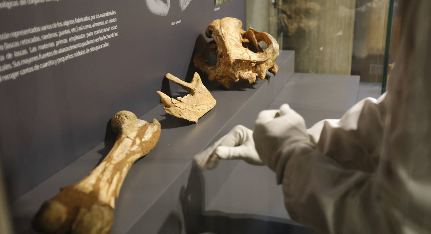 Fotos: El Museo de Palencia reabre tras la última reforma