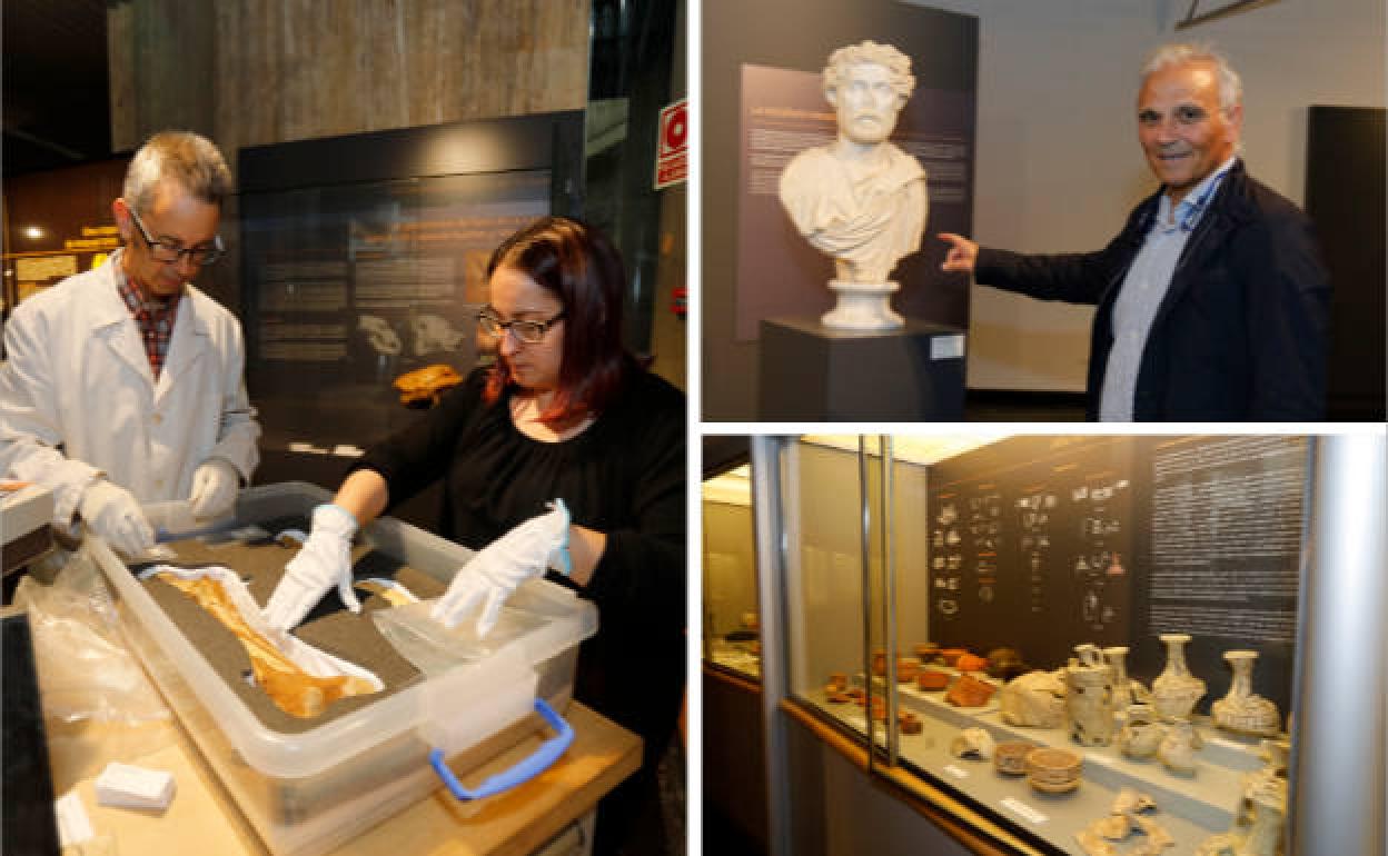 El Museo de Palencia reabre este viernes con nuevas vitrinas.