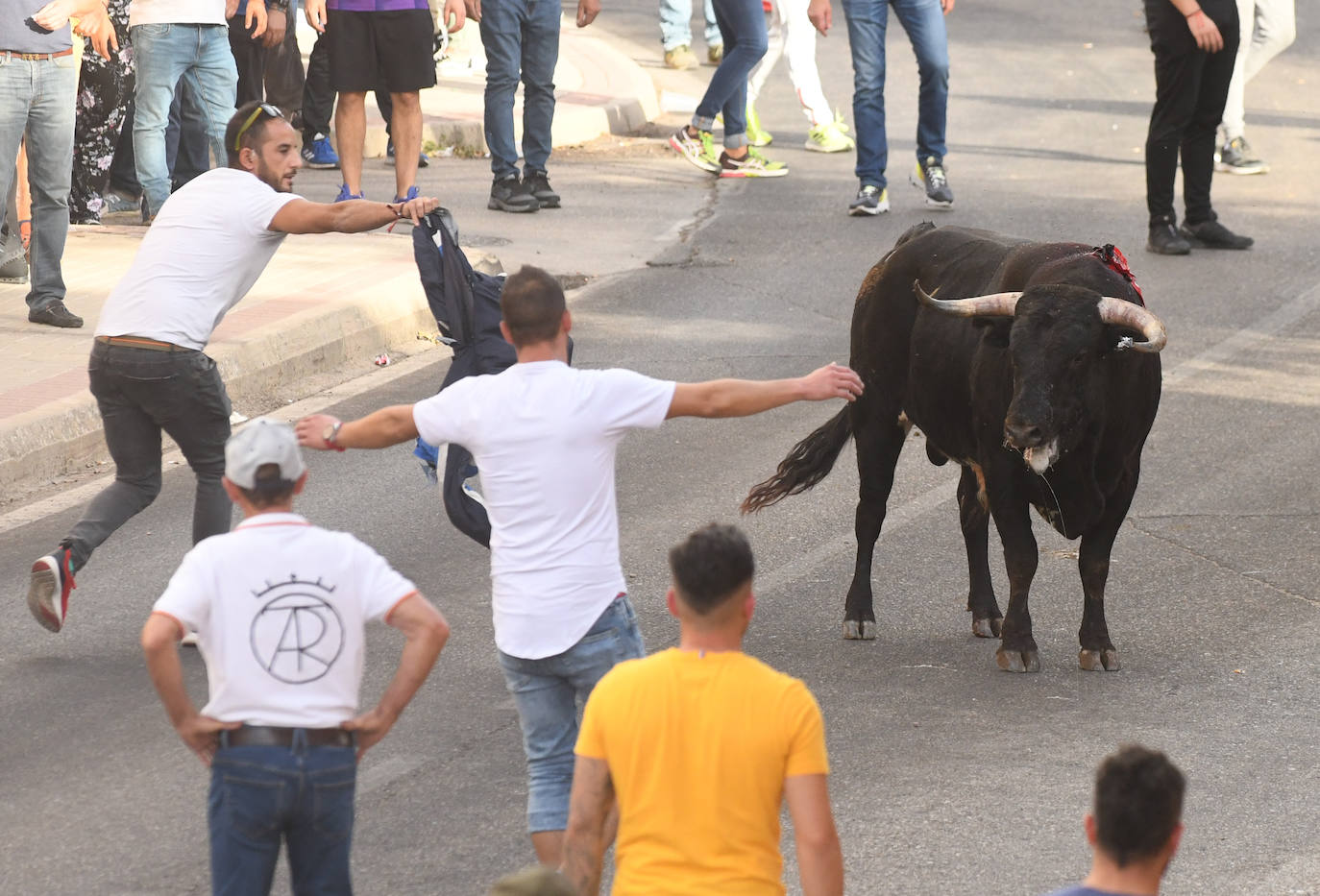 Fotos: Encierro con motivo del Día de la Vendimia en Rueda