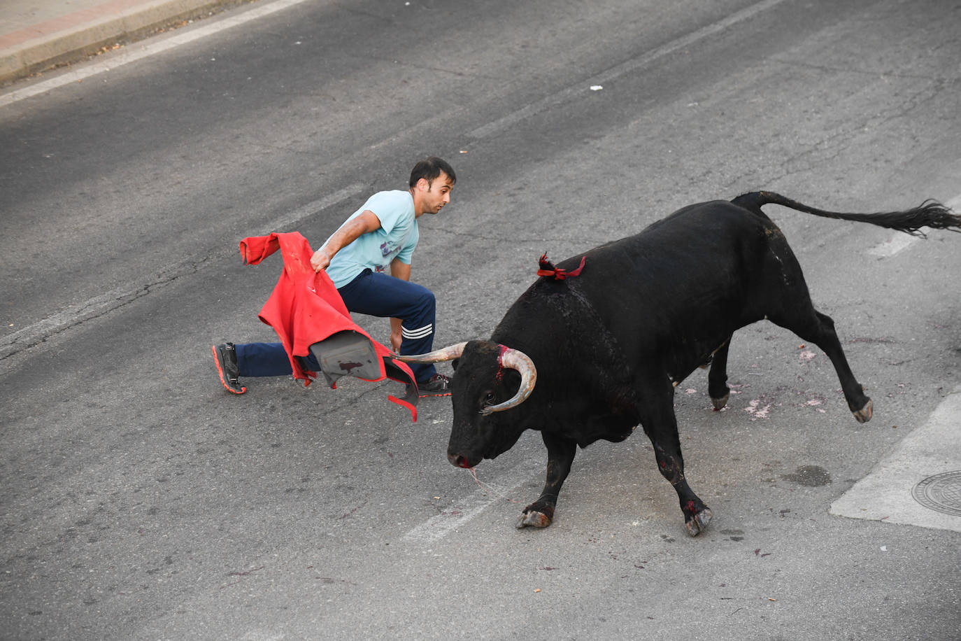 Fotos: Encierro con motivo del Día de la Vendimia en Rueda