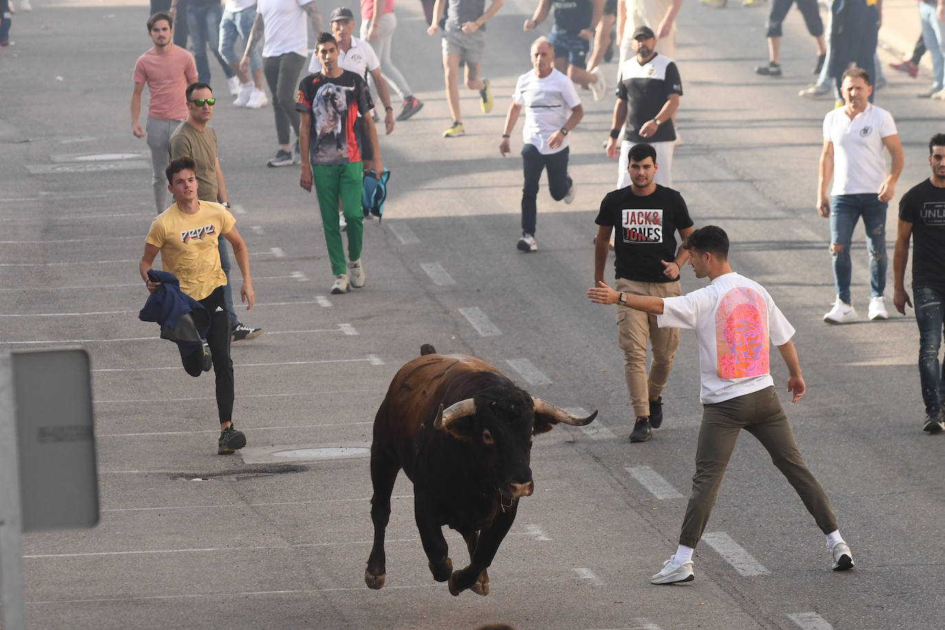 Fotos: Encierro con motivo del Día de la Vendimia en Rueda