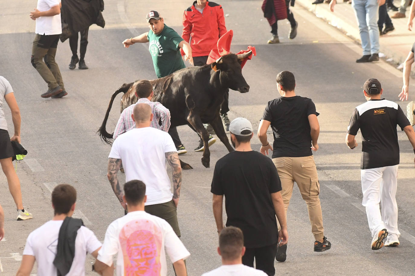 Fotos: Encierro con motivo del Día de la Vendimia en Rueda