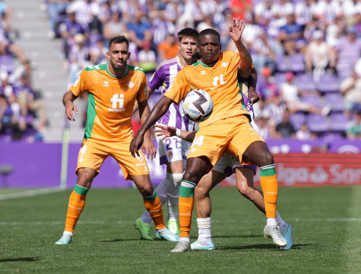 Fotos: Valioso punto del Real Valladolid ante el Betis (3/3)
