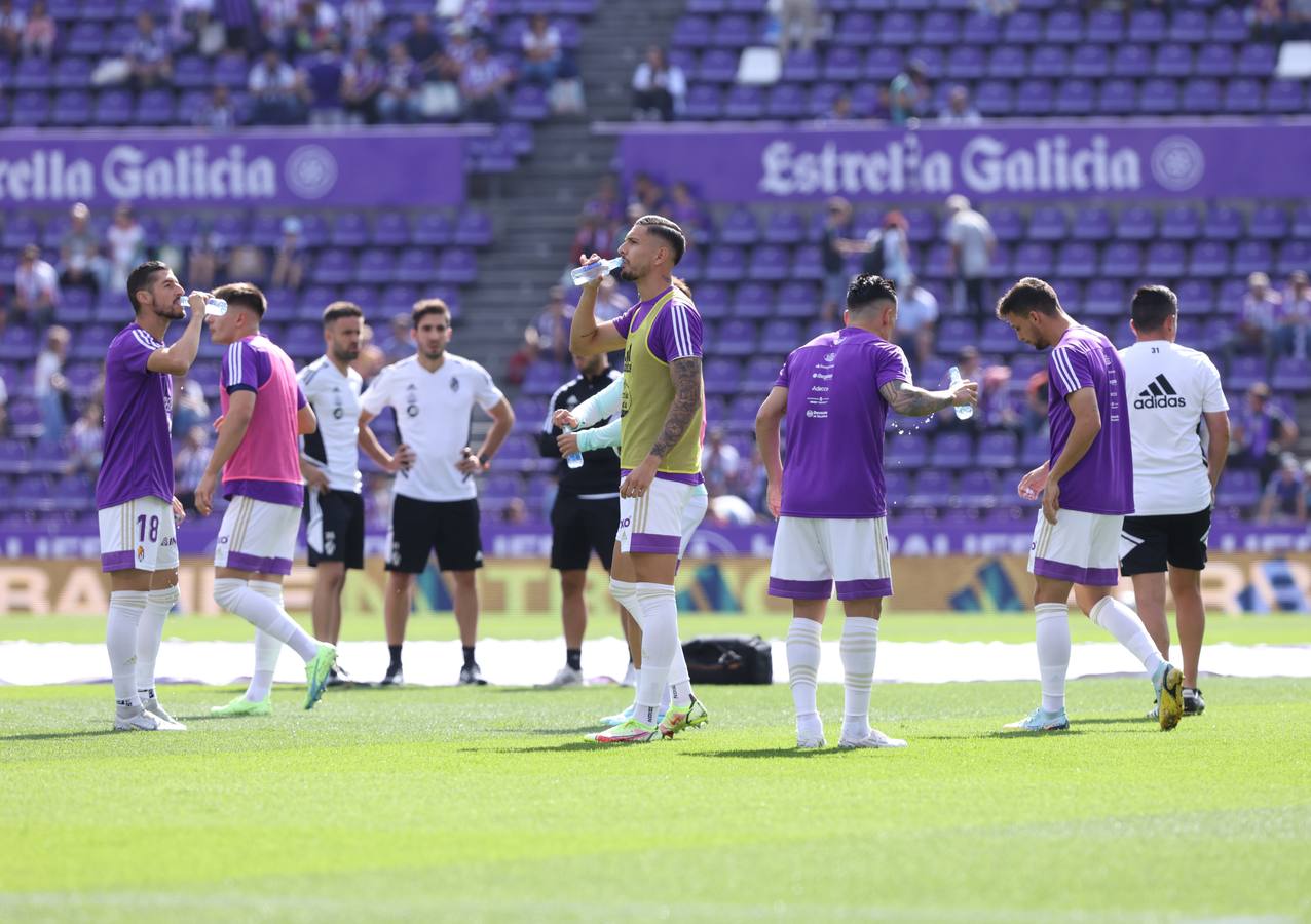 Fotos: Valioso punto del Real Valladolid ante el Betis (3/3)