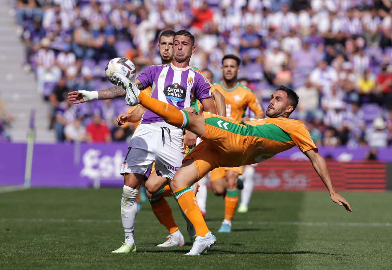 Fotos: Valioso punto del Real Valladolid ante el Betis (3/3)