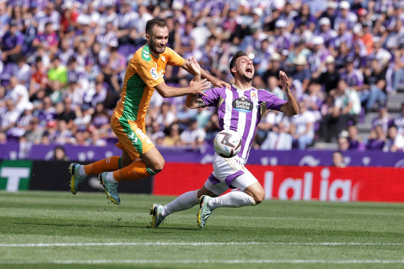 Fotos: Valioso punto del Real Valladolid ante el Betis (3/3)