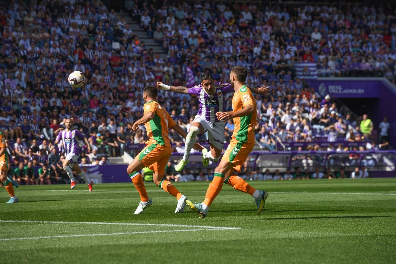 Fotos: Valioso punto del Real Valladolid ante el Betis (1/3)