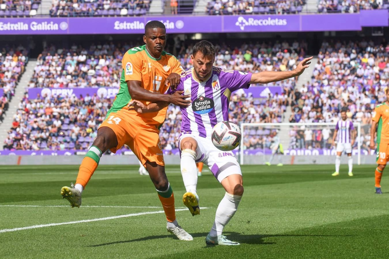 Fotos: Valioso punto del Real Valladolid ante el Betis (1/3)