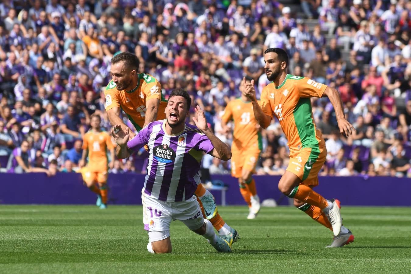 Fotos: Valioso punto del Real Valladolid ante el Betis (1/3)