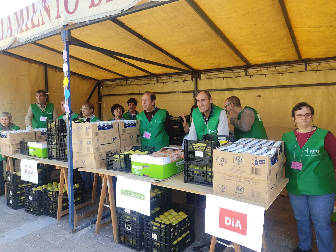 La 'marea verde' de la lucha contra el cáncer ha recorrido Cuéllar este domingo. 