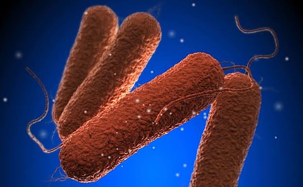 Sanidad retira un producto de Mercadona por la presencia de salmonela