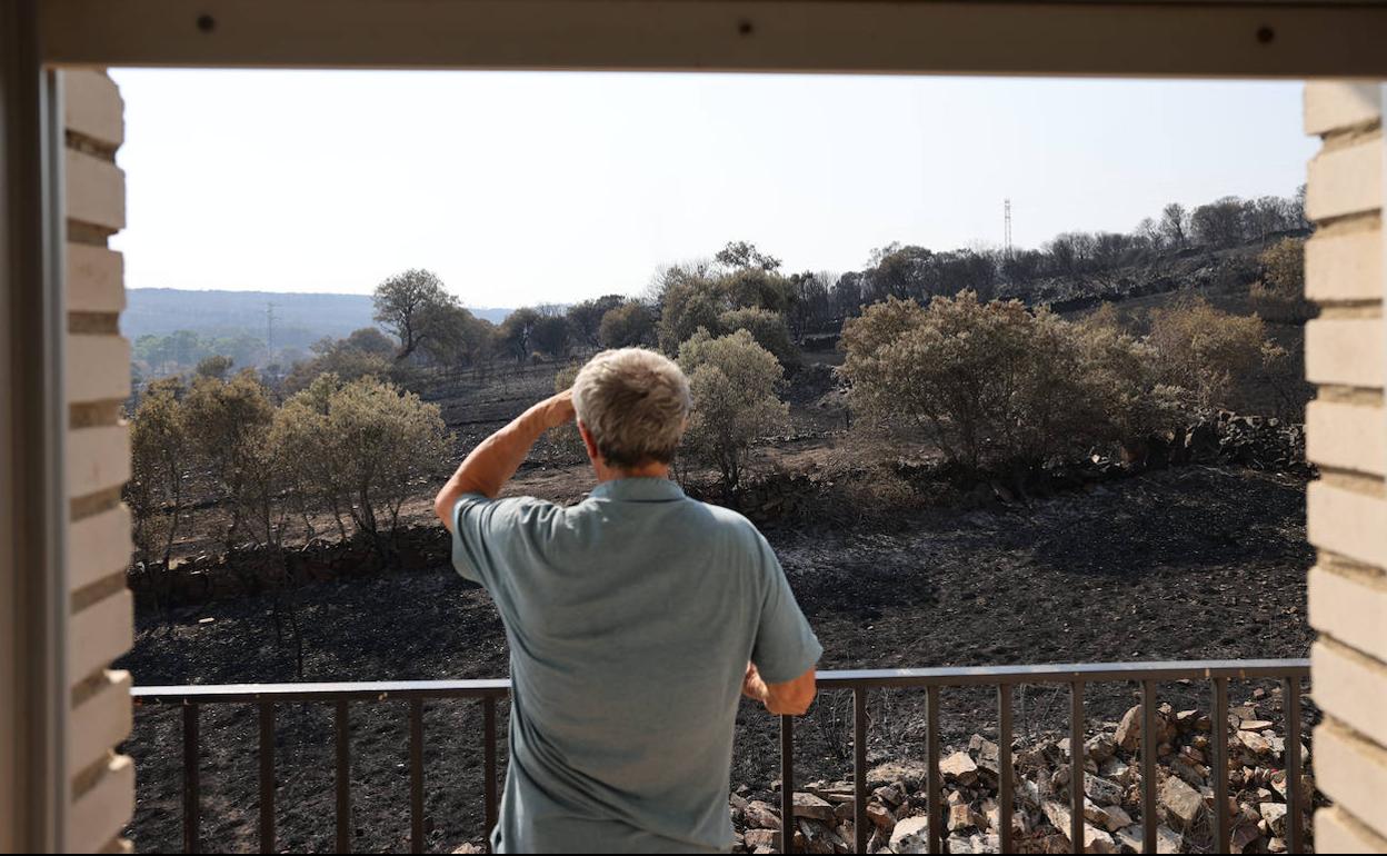 Un vecino de San Martín de Tábara contempla la desolación dejada por el fuego de julio pasado en Losacio. 