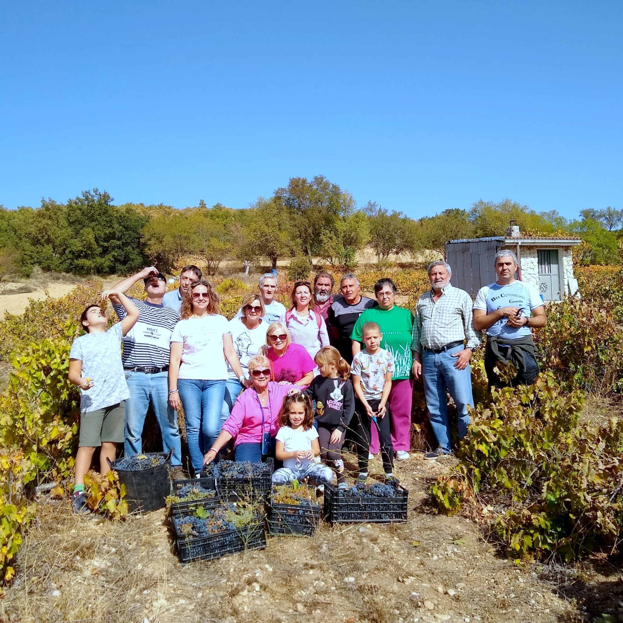 Castrillo de Don Juan se vuelca con la XIV Fiesta de la Vendimia