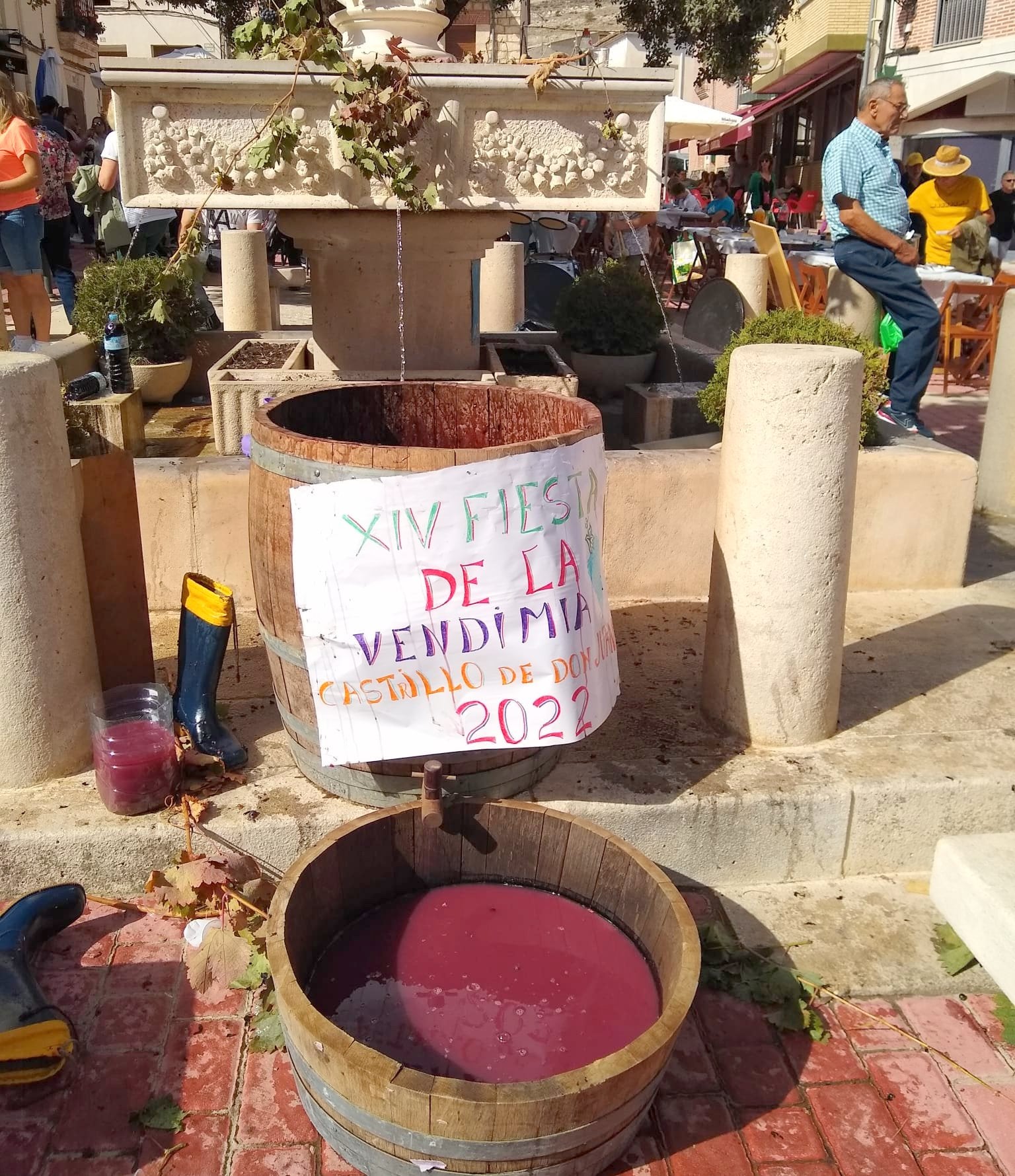 Castrillo de Don Juan se vuelca con la XIV Fiesta de la Vendimia