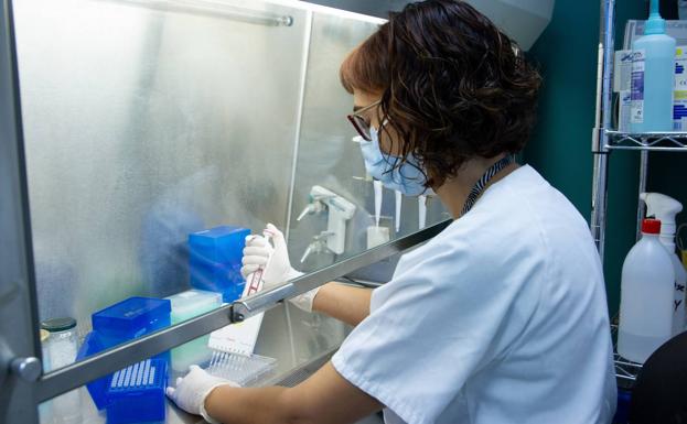 Mari Carmen Puertas trabajando en una campana del laboratorio de IrsiCaixa.