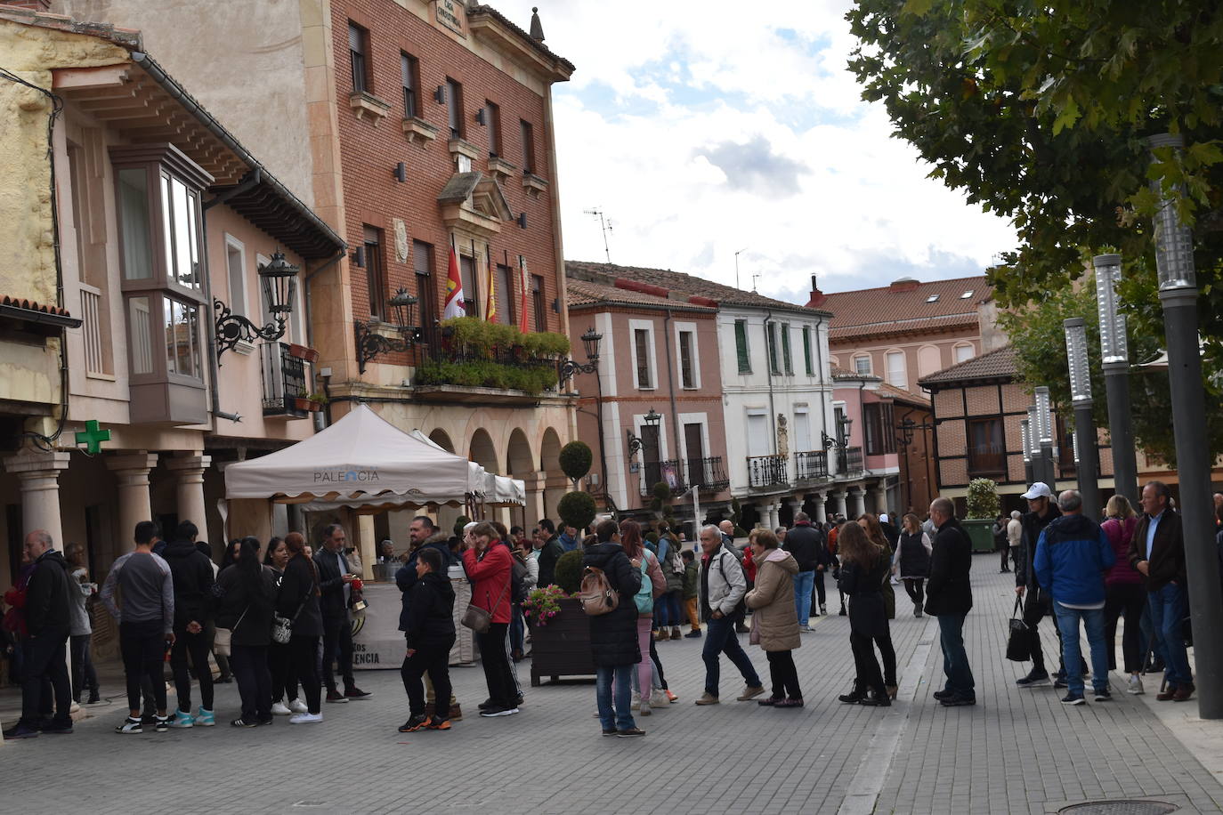 Fotos: Feria de exaltación de la patata del Boedo-Ojeda