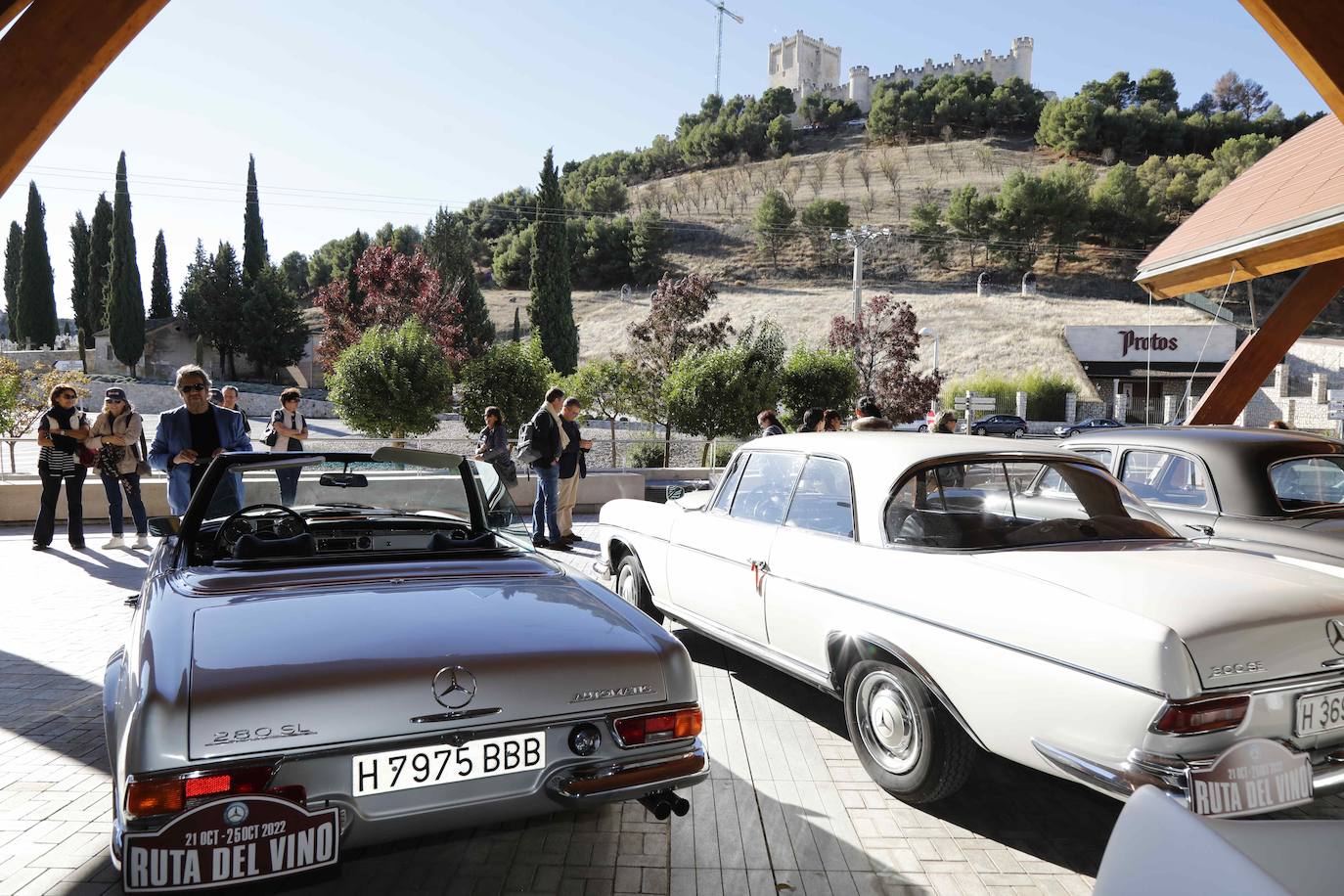 Fotos: Una veintena de coches clásicos de Mercedes visitan Bodegas Protos