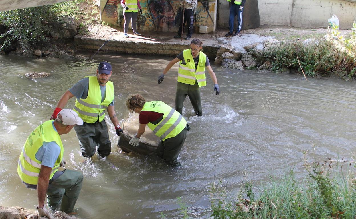 Varios voluntarios de la Asociación Ama El Pisuerga sacan un colchón del río.