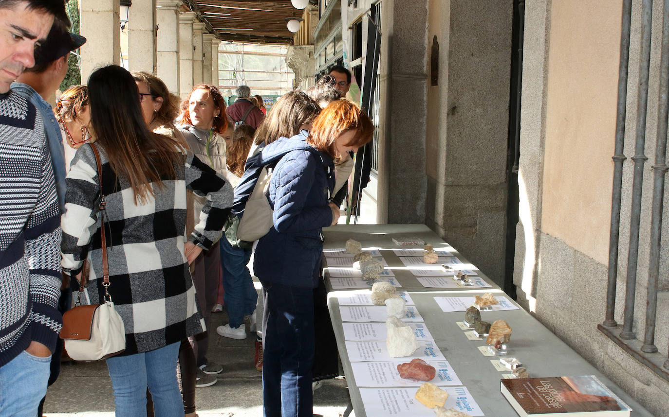 Fiesta de San Frutos en Segovia. 