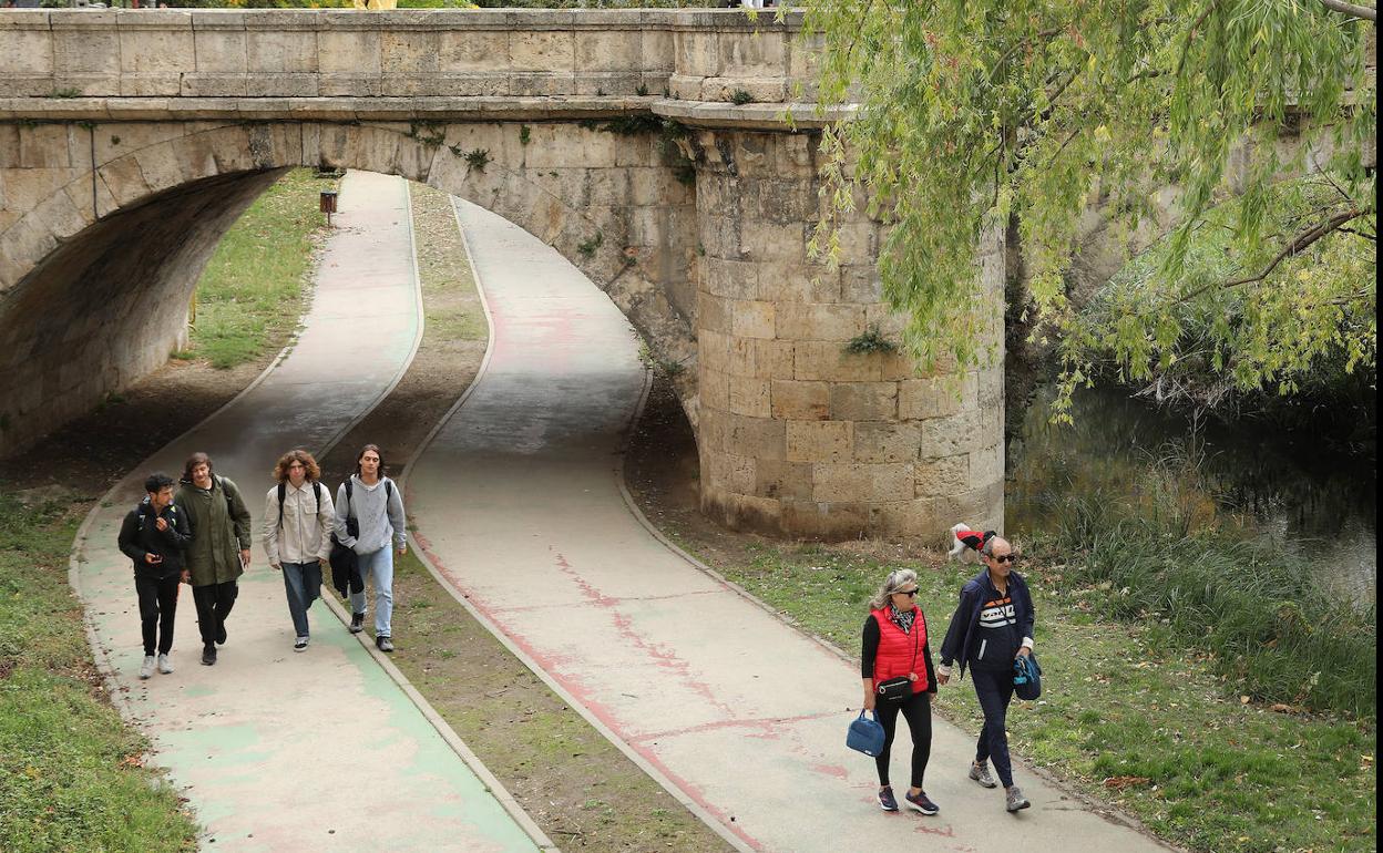 Palencia: La ausencia de un informe de la CHD frena la renovación de los carriles de paseo junto al Carrión