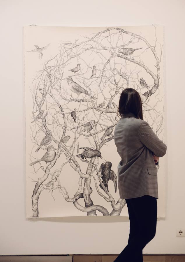 Fotos: Exposición &#039;Menuet&#039; de Jesús Alonso en el Palacio de Pimentel de Valladolid