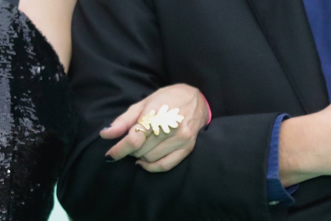 Fotos: Alfombra verde en la clausura de la Seminci 2022 (4/4)