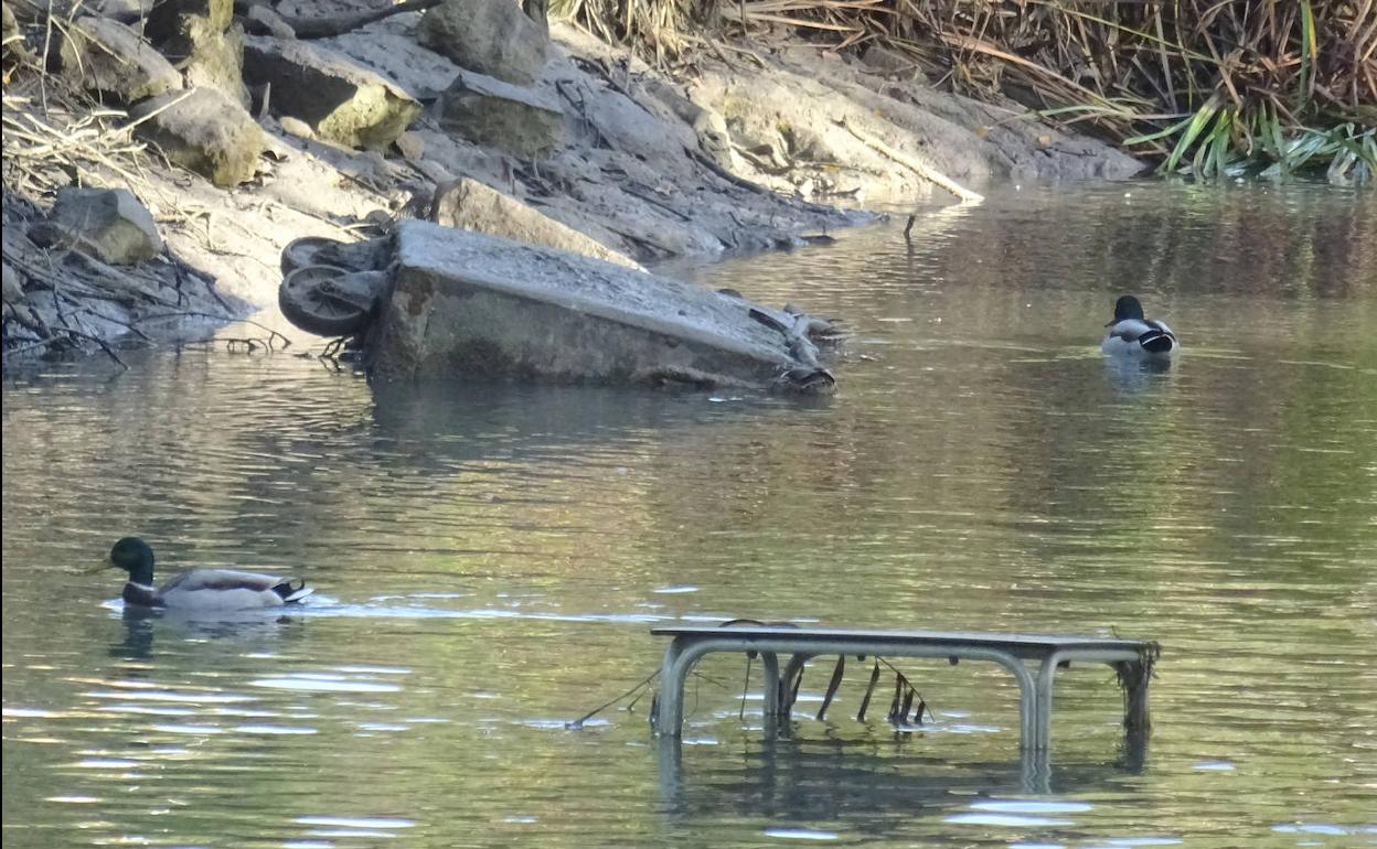 Una mesa de terraza y un contenedor en el fondo del canal, cerca de la pasarela de Fuente El Sol. 