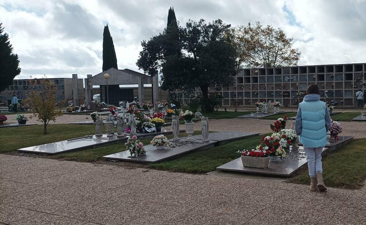 Cementerio de Los Llanos de Medinal del Campo. 