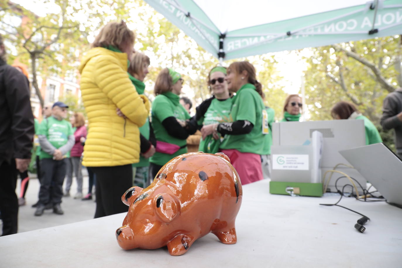 Fotos: La marcha contra el cáncer llena Valladolid de verde