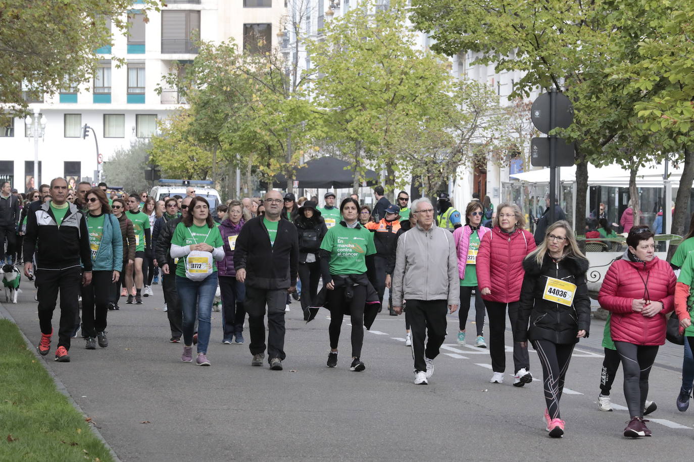 Fotos: La marcha contra el cáncer llena Valladolid de verde