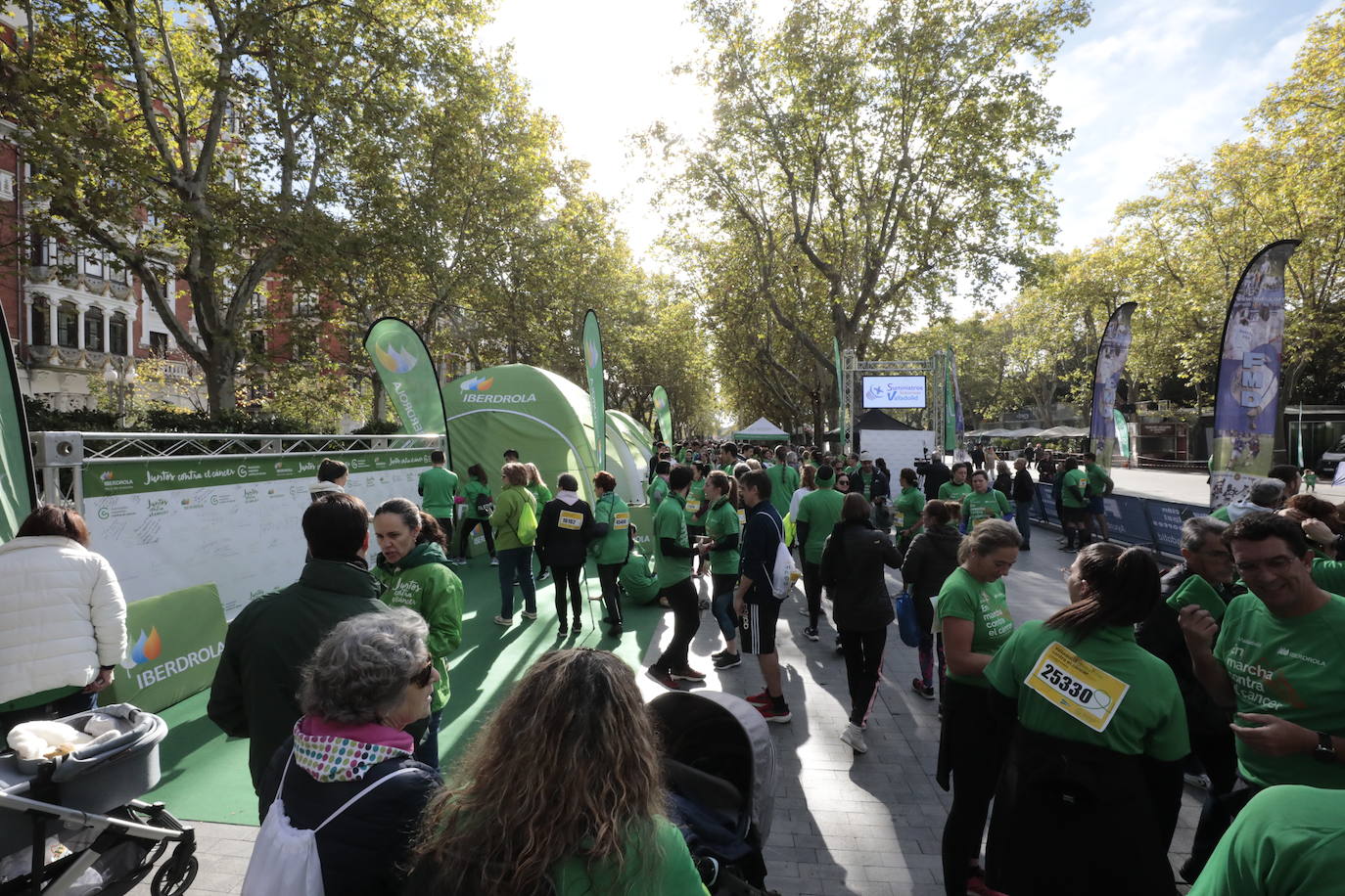 Fotos: La marcha contra el cáncer llena Valladolid de verde