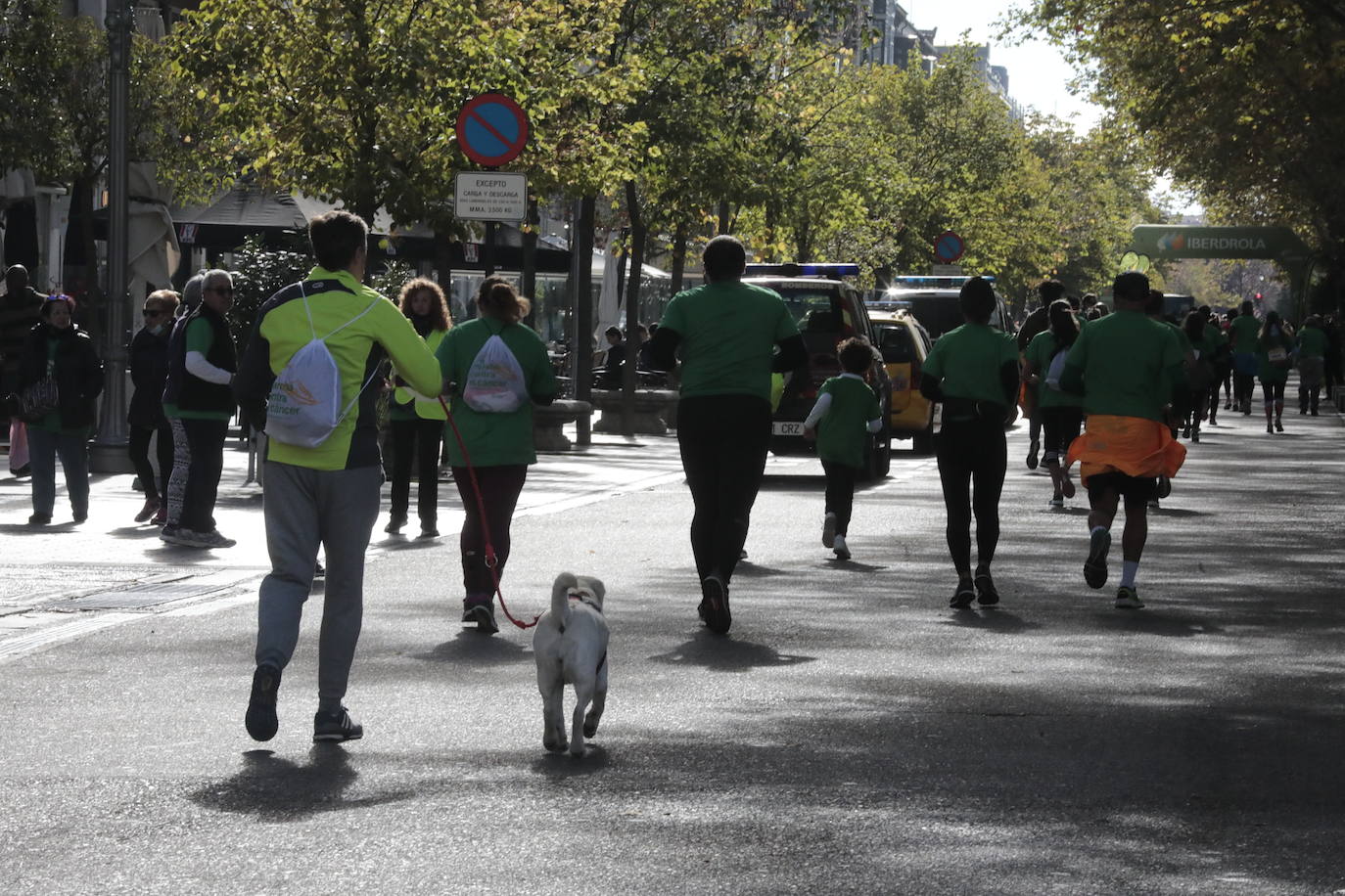 Fotos: La marcha contra el cáncer llena Valladolid de verde