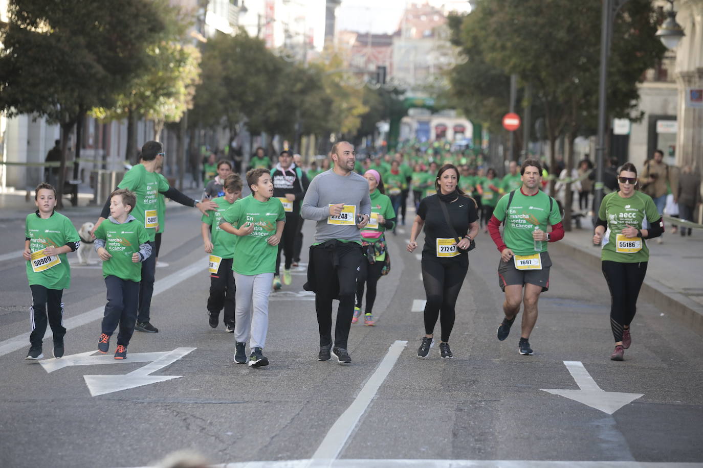 Fotos: La marcha contra el cáncer llena Valladolid de verde