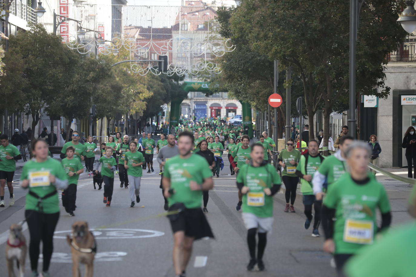 Fotos: La marcha contra el cáncer llena Valladolid de verde