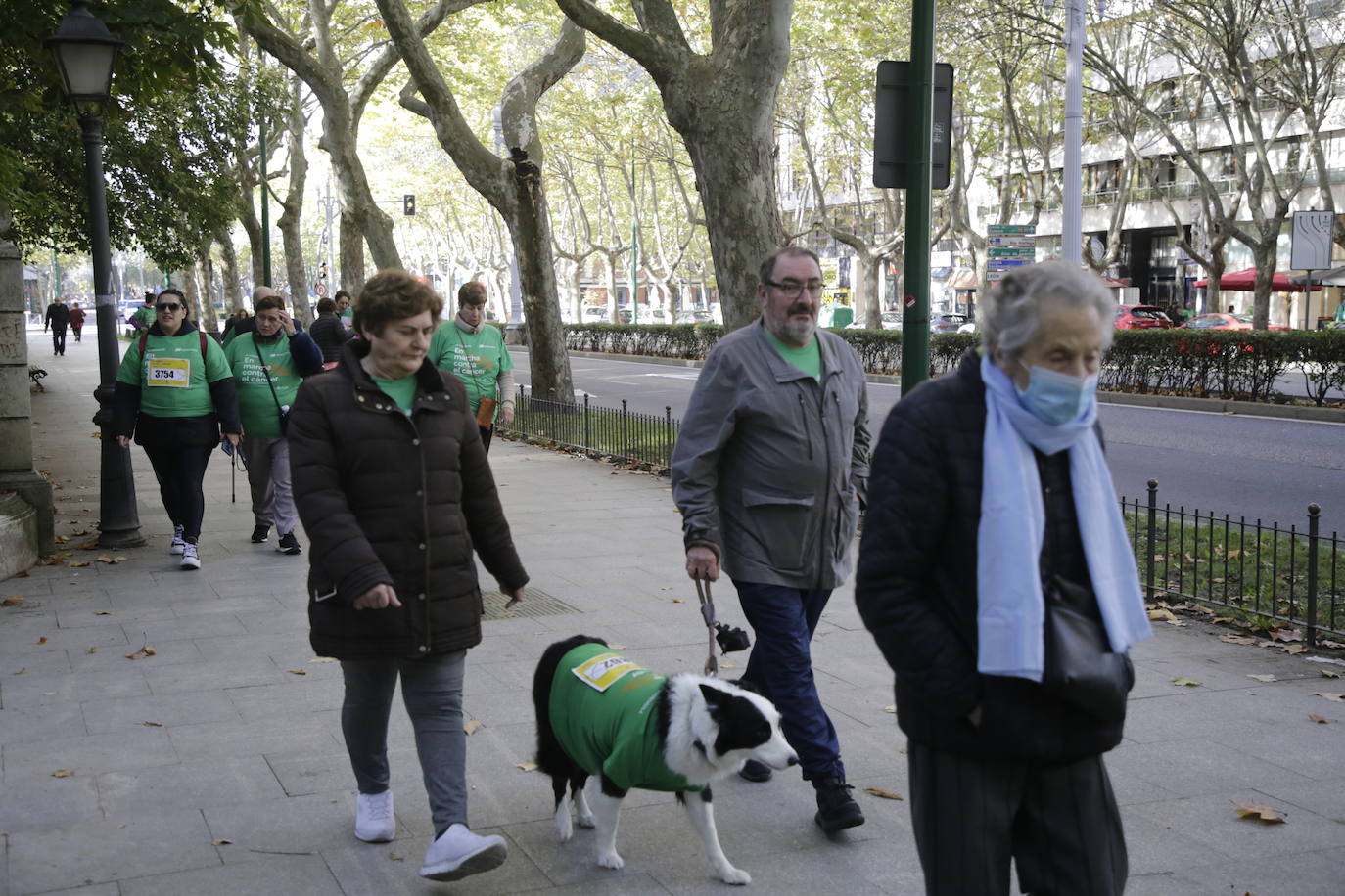 Fotos: La marcha contra el cáncer llena Valladolid de verde