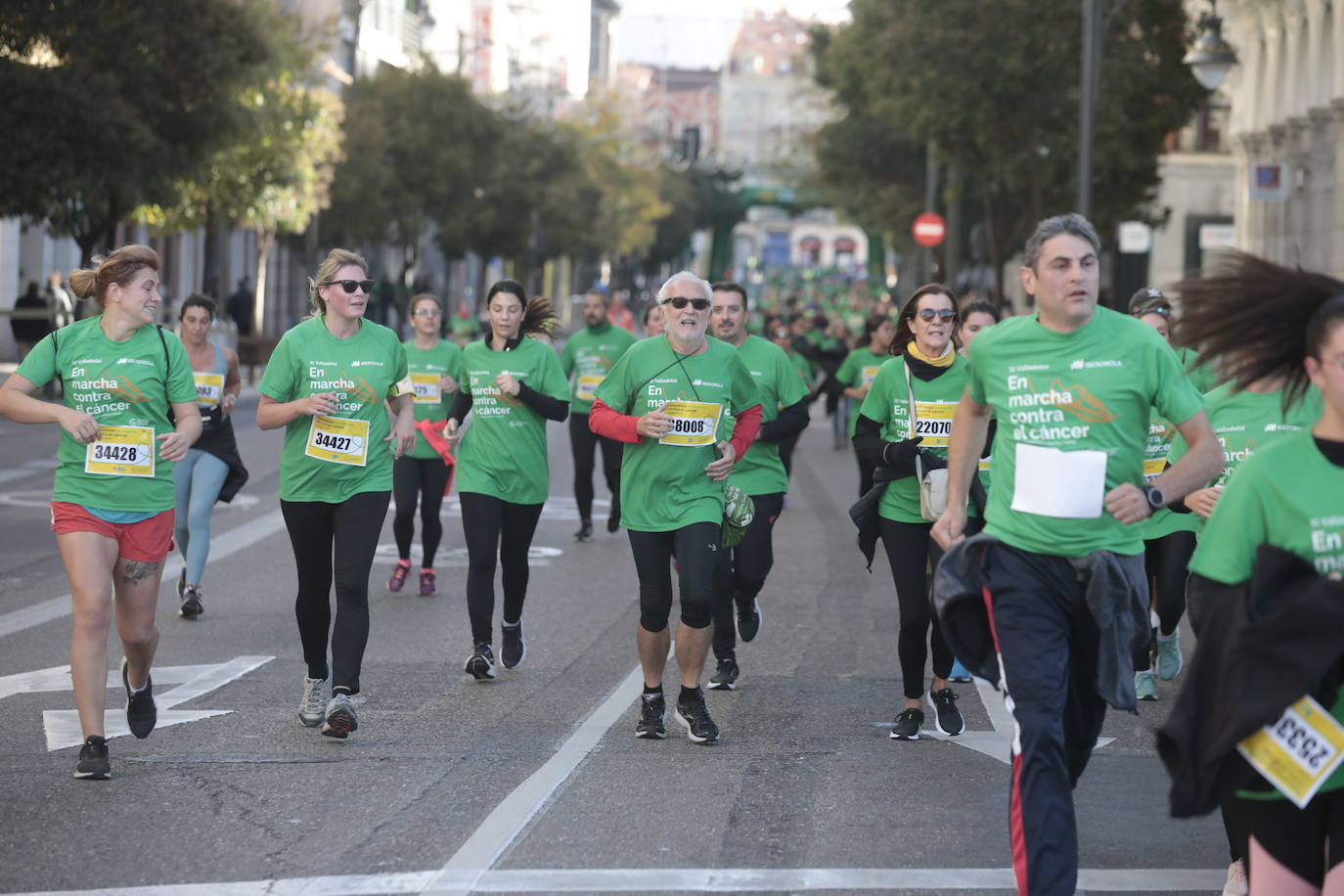 Fotos: La marcha contra el cáncer llena Valladolid de verde