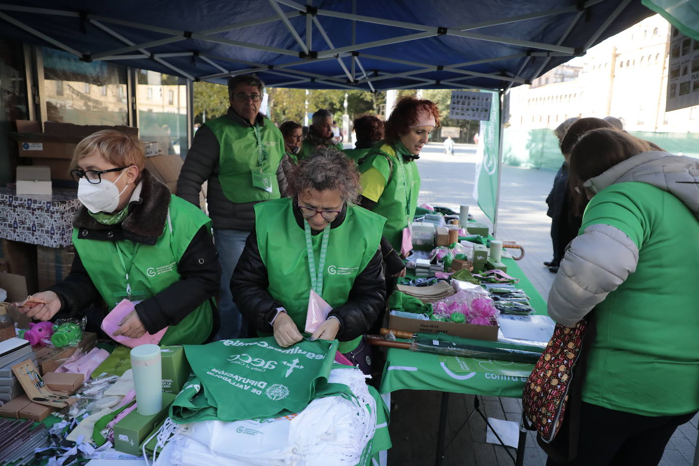 Fotos: La marcha contra el cáncer llena Valladolid de verde