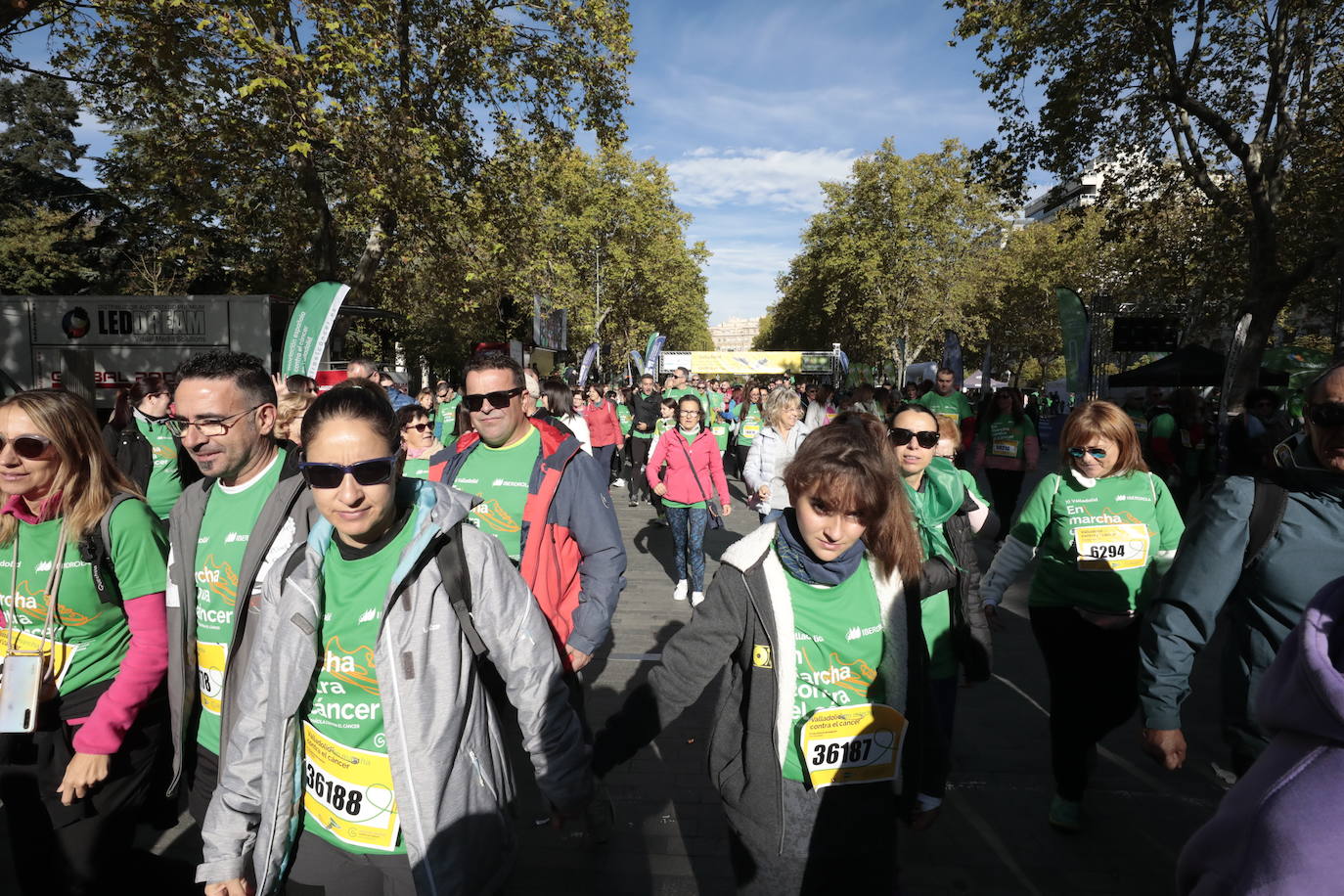 Fotos: La marcha contra el cáncer llena Valladolid de verde