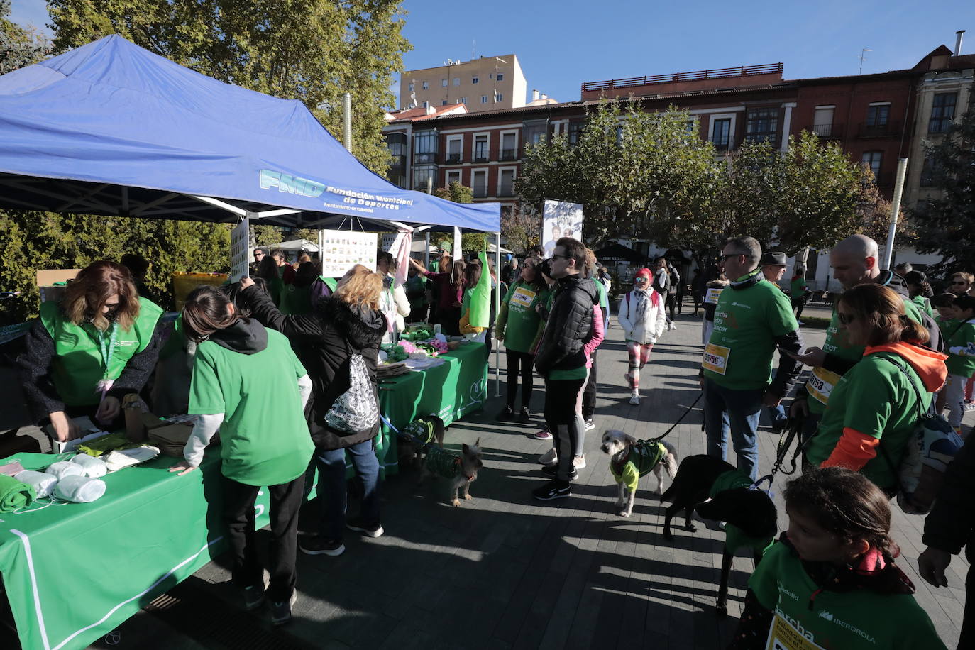 Fotos: La marcha contra el cáncer llena Valladolid de verde