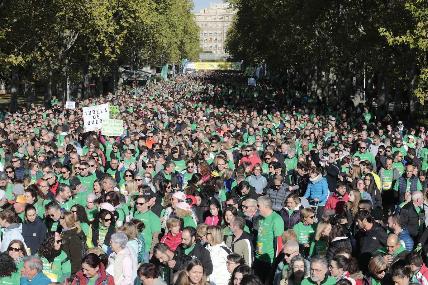 Fotos: La marcha contra el cáncer llena Valladolid de verde