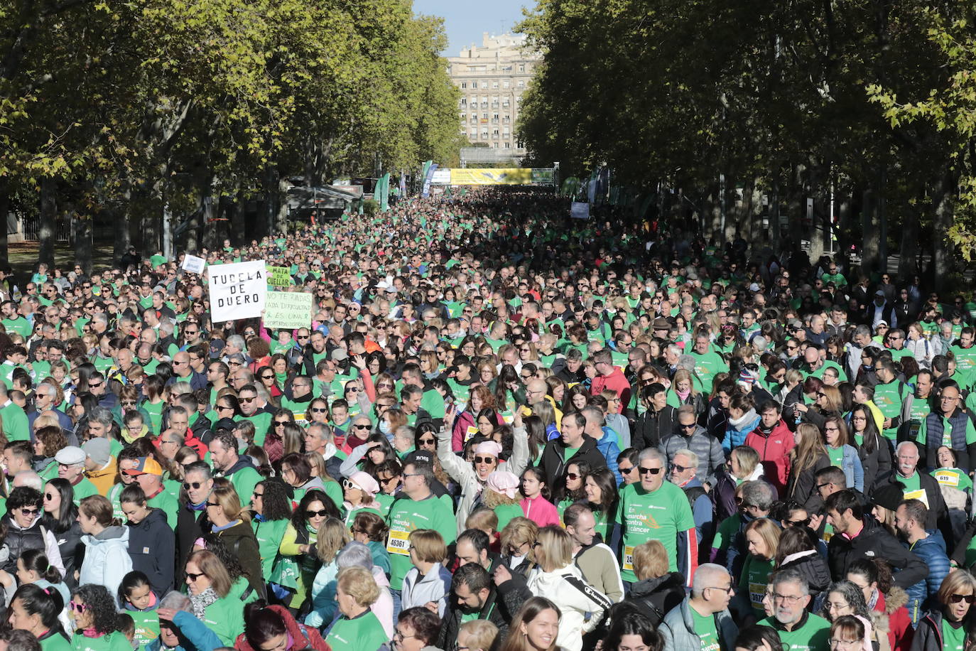 Fotos: La marcha contra el cáncer llena Valladolid de verde