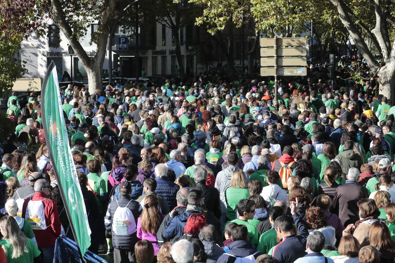 Fotos: La marcha contra el cáncer llena Valladolid de verde