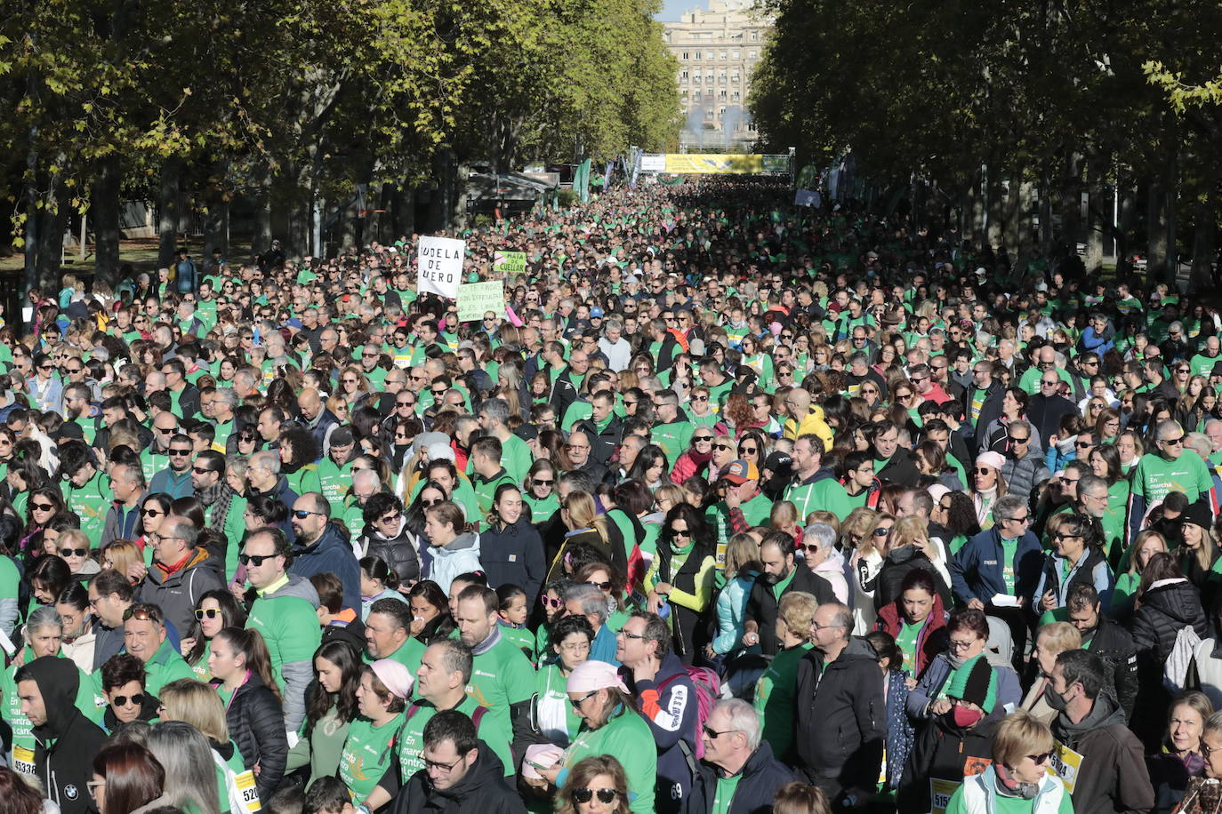 Fotos: La marcha contra el cáncer llena Valladolid de verde