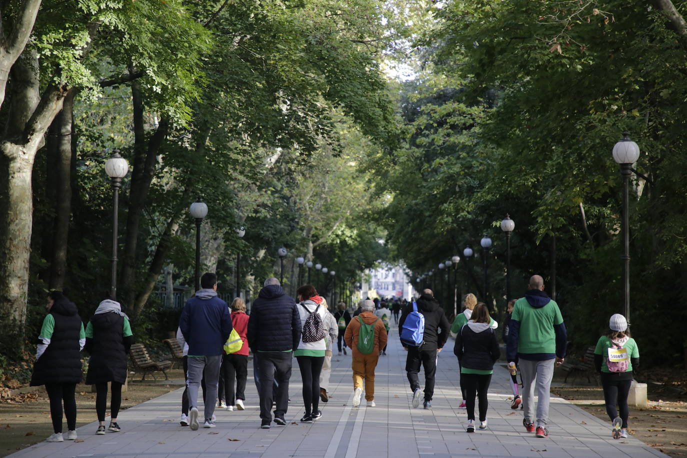 Fotos: La marcha contra el cáncer llena Valladolid de verde