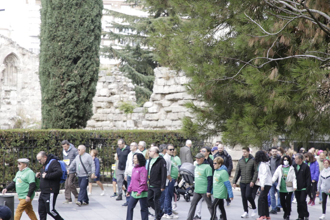 Fotos: La marcha contra el cáncer llena Valladolid de verde