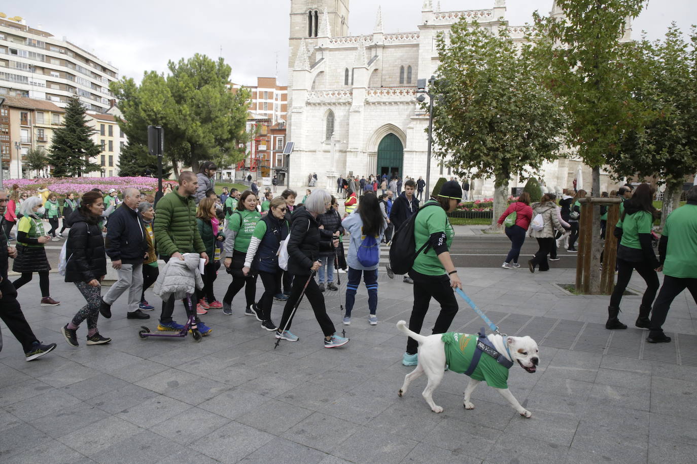 Fotos: La marcha contra el cáncer llena Valladolid de verde